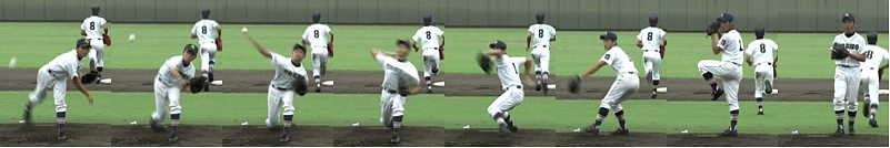 �V���M���@�s�鏤